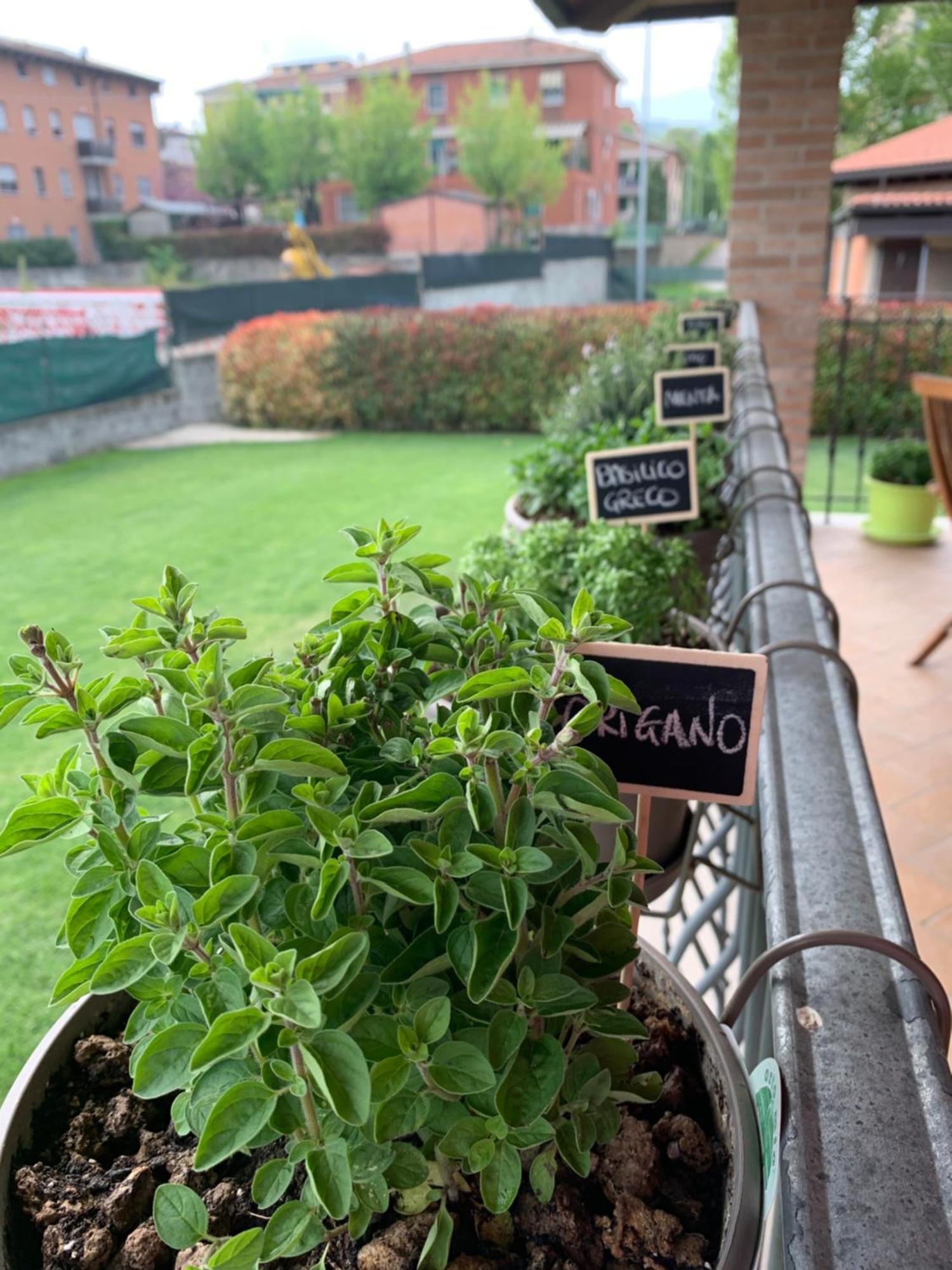Appartamento Con Giardino Pontecchio Marconi 외부 사진